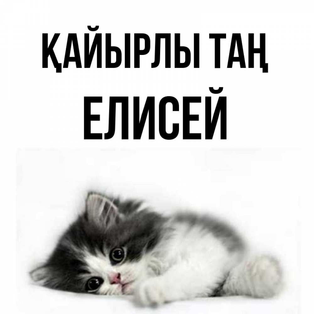 Күн сайын ашық хат с именем, Елисей Қайырлы таң кот лапки Онлайн тегін жүктеп алу тілектері бар керемет карта 