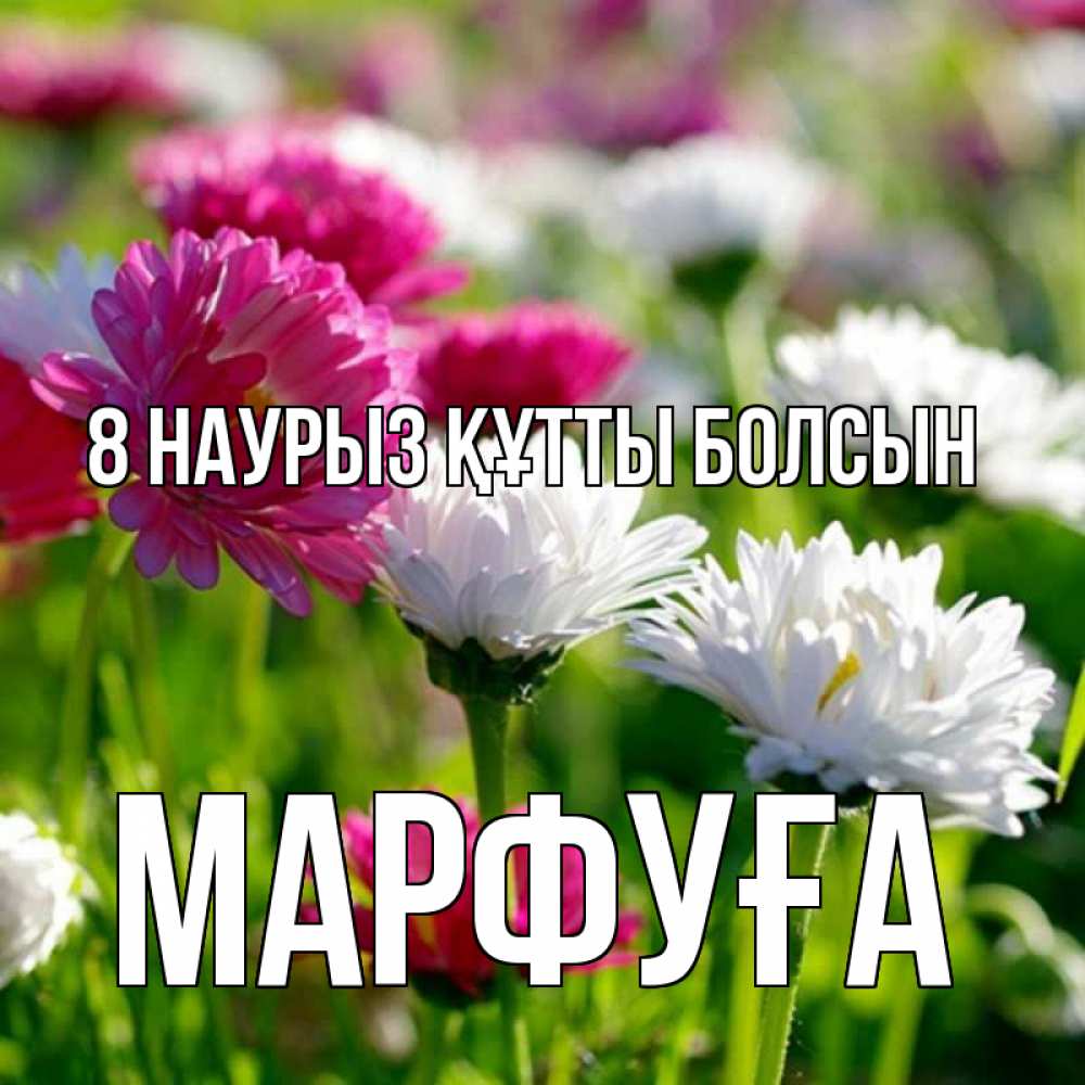Күн сайын ашық хат с именем, МАРФУҒА 8 наурыз құтты болсын международный женский день 1 Онлайн тегін жүктеп алу тілектері бар керемет карта 