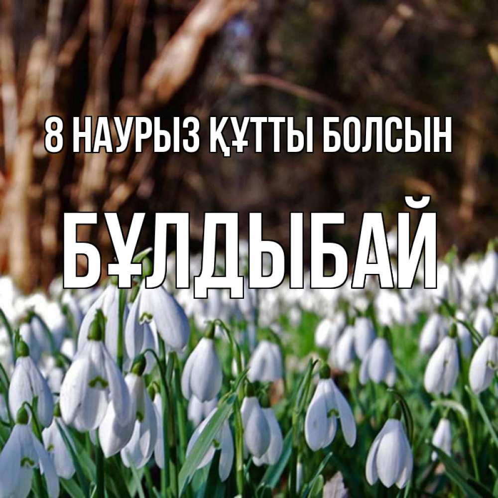 Күн сайын ашық хат с именем, Бұлдыбай 8 наурыз құтты болсын с подснежниками 1 Онлайн тегін жүктеп алу тілектері бар керемет карта 