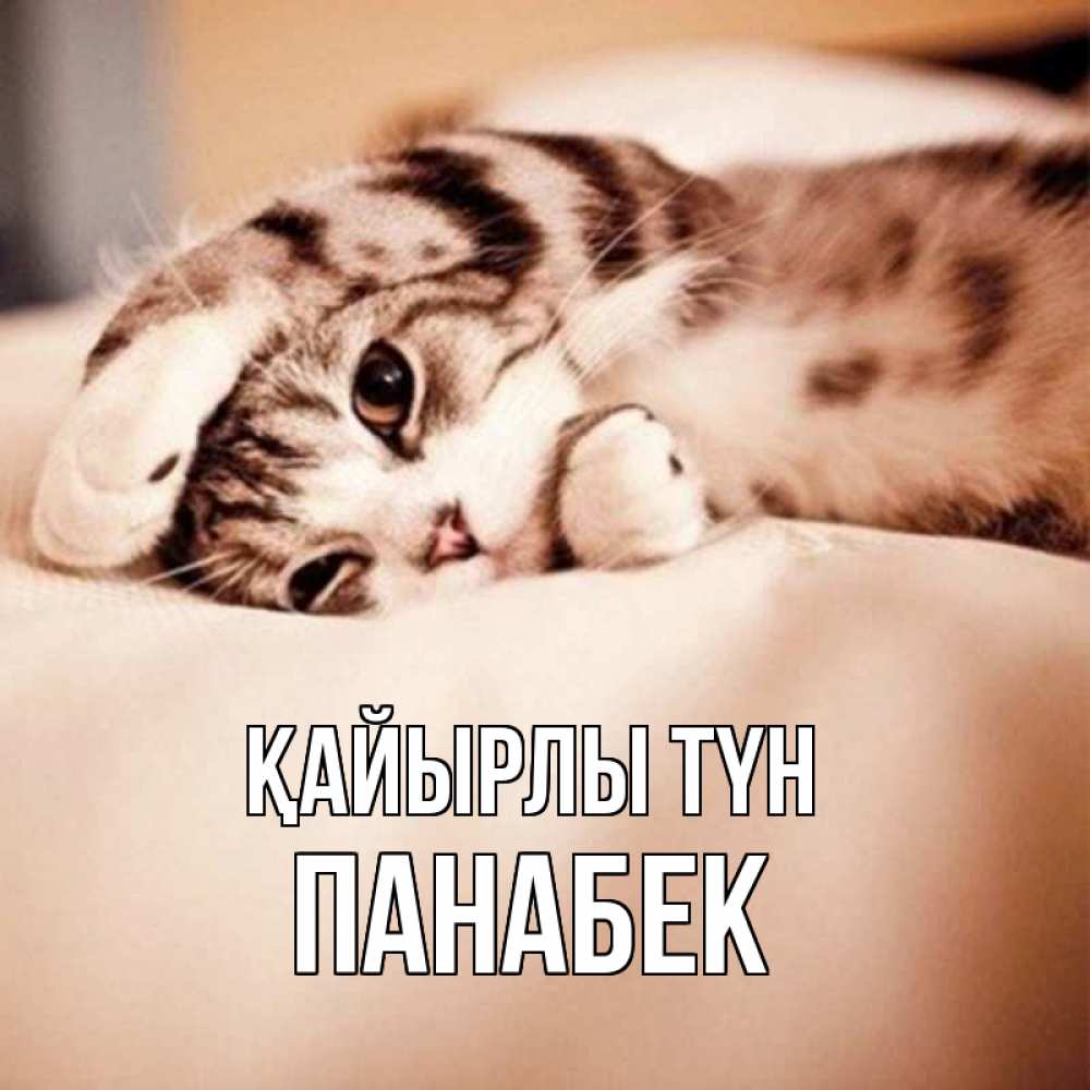 Күн сайын ашық хат с именем, ПАНАБЕК Қайырлы түн сладких снов с животными Онлайн тегін жүктеп алу тілектері бар керемет карта 