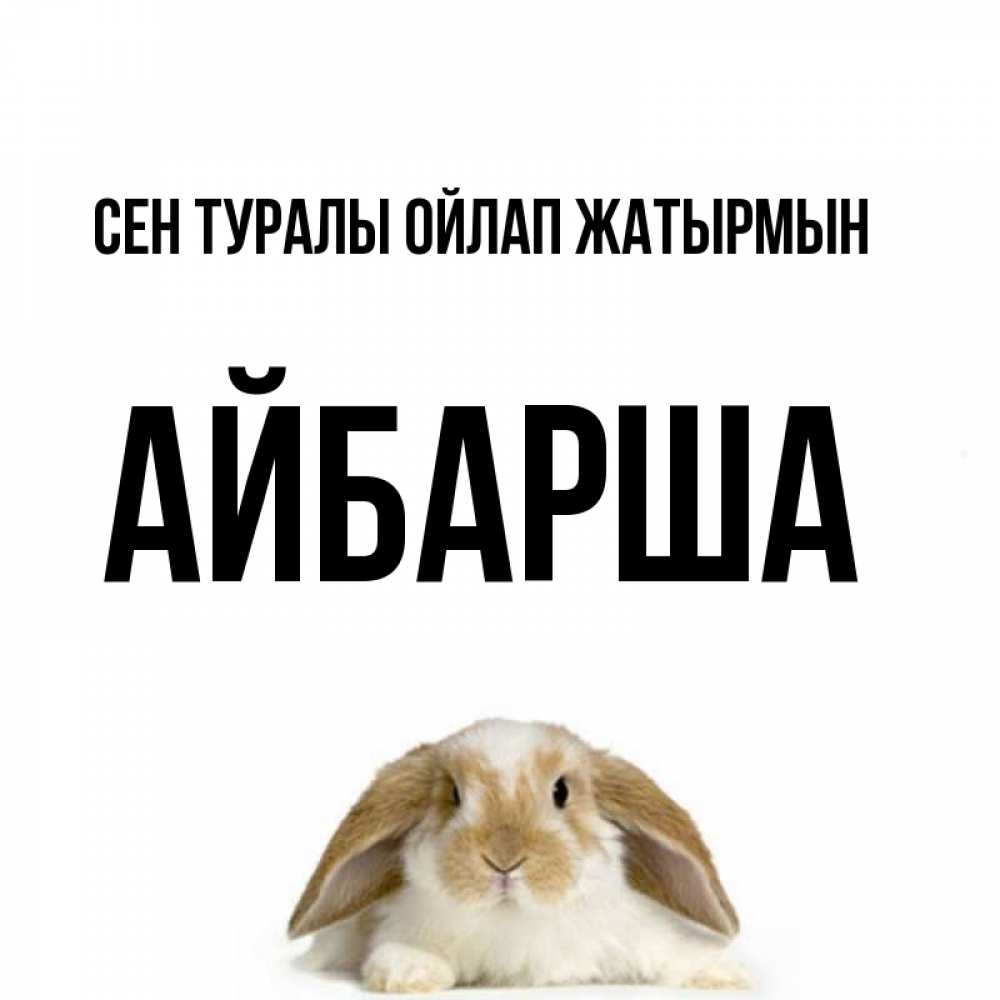 Күн сайын ашық хат с именем, АЙБАРША Сен туралы ойлап жатырмын подписать своими руками онлайн Онлайн тегін жүктеп алу тілектері бар керемет карта 