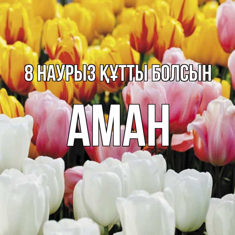 Күн сайын ашық хат с именем, Аман 8 наурыз құтты болсын разноцветные цветы Онлайн тегін жүктеп алу тілектері бар керемет карта 
