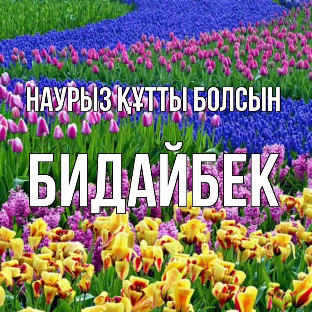 Күн сайын ашық хат с именем, Бидайбек Наурыз құтты болсын цветы Онлайн тегін жүктеп алу тілектері бар керемет карта 