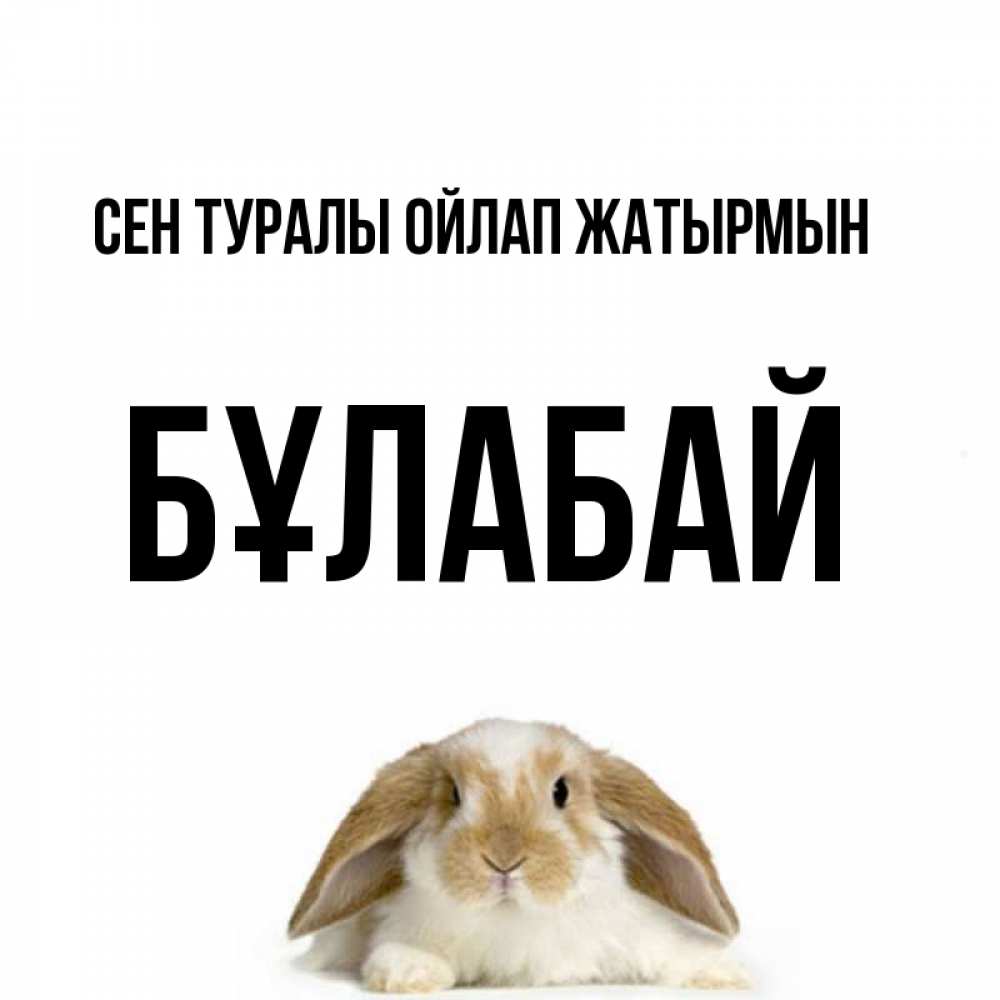 Күн сайын ашық хат с именем, Бұлабай Сен туралы ойлап жатырмын подписать своими руками онлайн Онлайн тегін жүктеп алу тілектері бар керемет карта 
