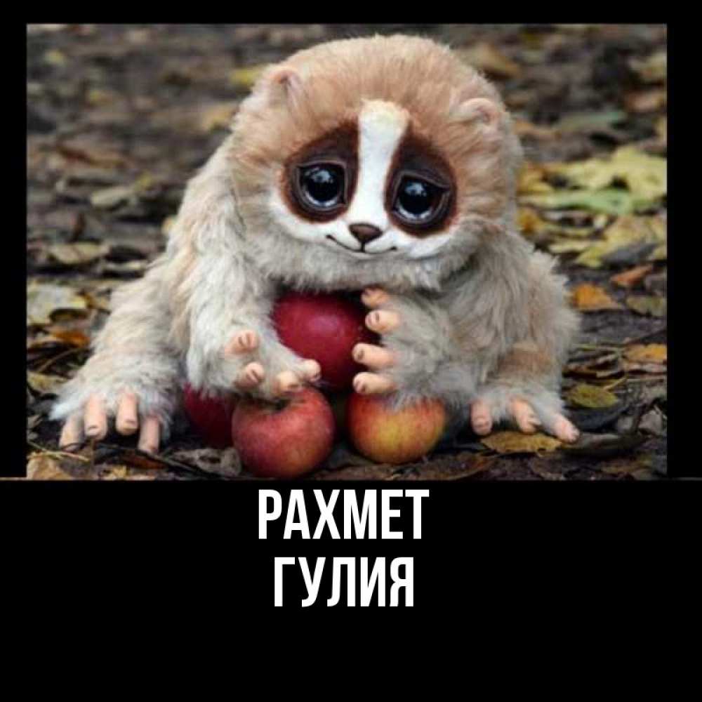 Күн сайын ашық хат с именем, Гулия рахмет прикольное животное Онлайн тегін жүктеп алу тілектері бар керемет карта 
