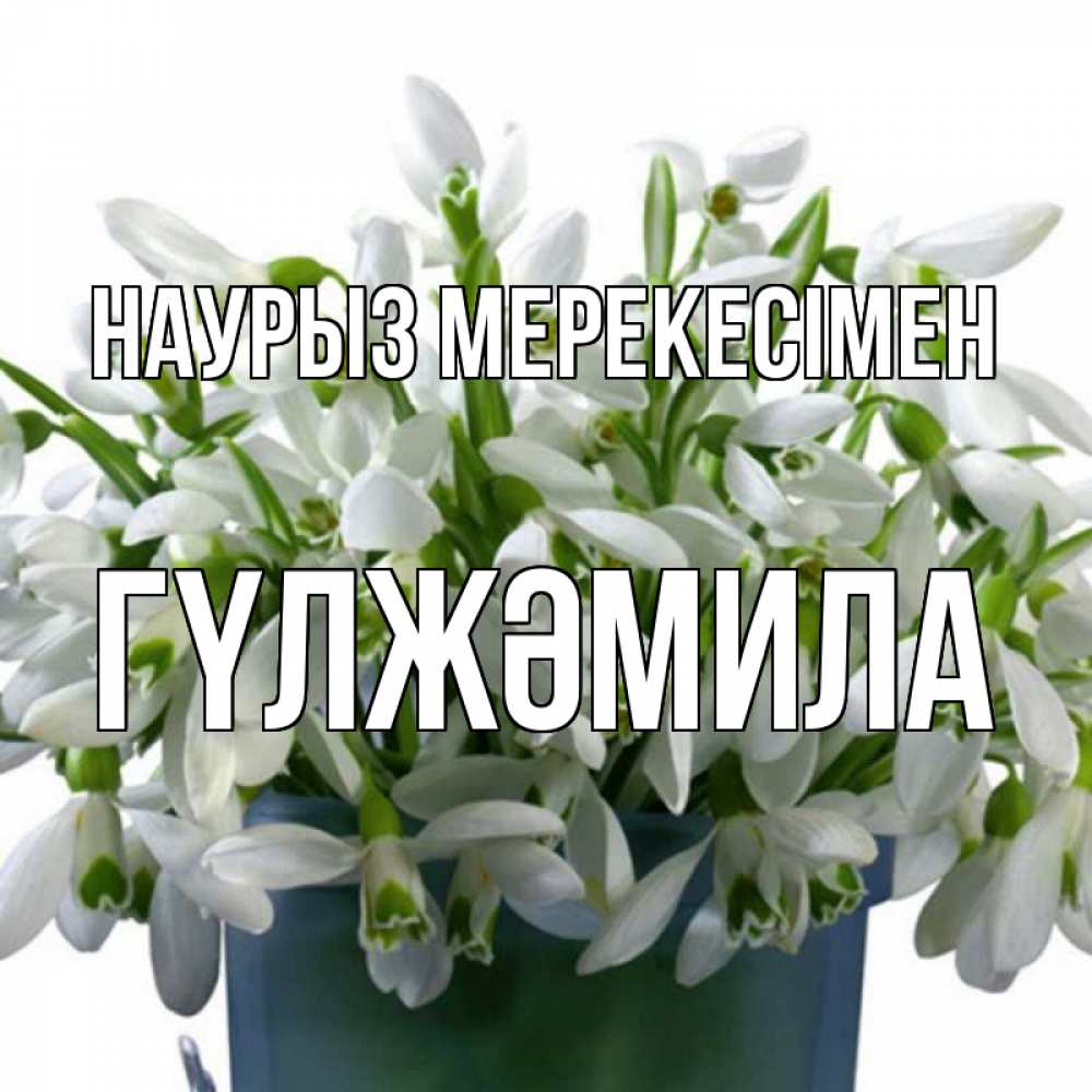 Күн сайын ашық хат с именем, ГҮЛЖӘМИЛА Наурыз мерекесімен цветы к наурызу новый год в Казахстане Онлайн тегін жүктеп алу тілектері бар керемет карта 