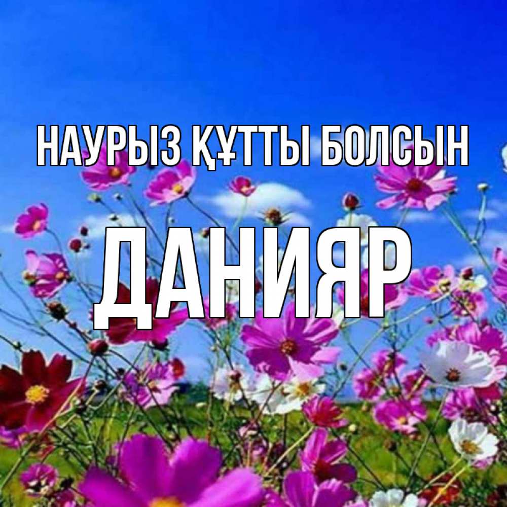 Күн сайын ашық хат с именем, Данияр Наурыз құтты болсын цветы Онлайн тегін жүктеп алу тілектері бар керемет карта 