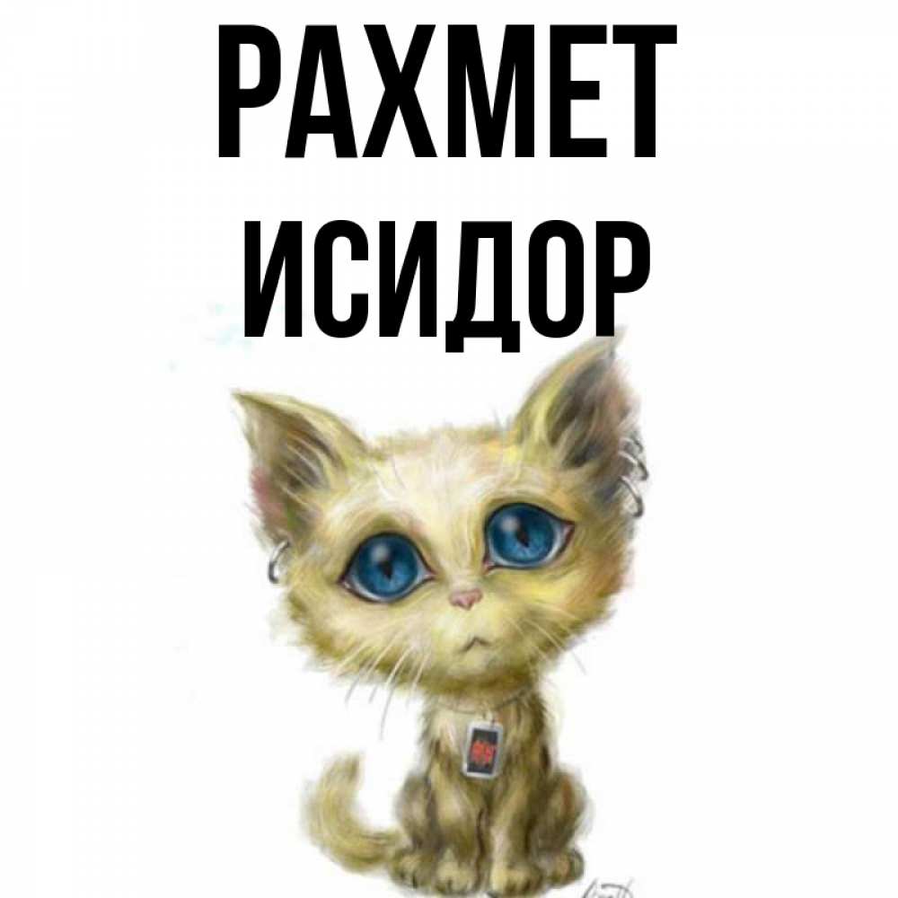 Күн сайын ашық хат с именем, Исидор рахмет рисованный кот благодарит вас Онлайн тегін жүктеп алу тілектері бар керемет карта 