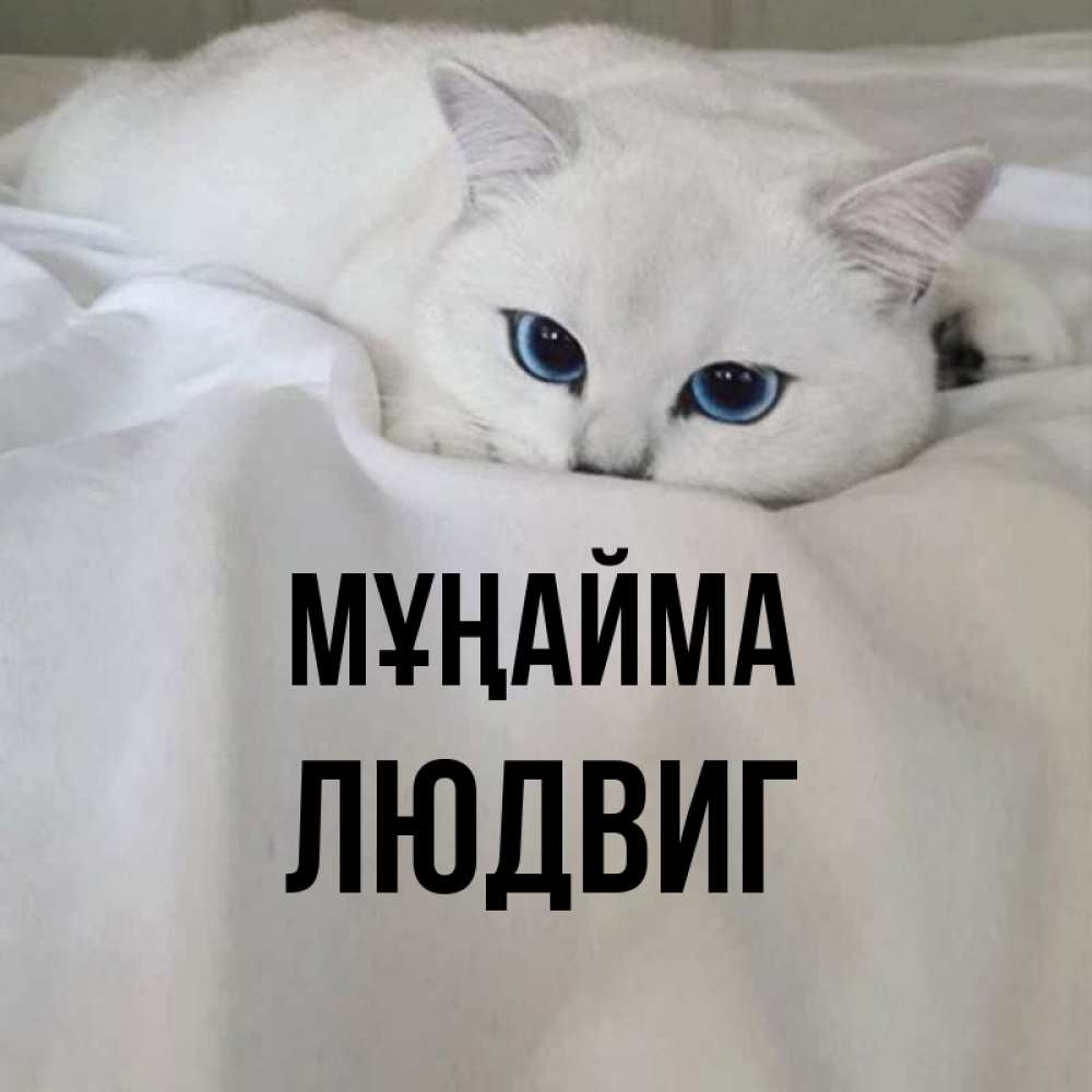 Күн сайын ашық хат с именем, Людвиг Мұңайма Голубоглазая кошка Онлайн тегін жүктеп алу тілектері бар керемет карта 