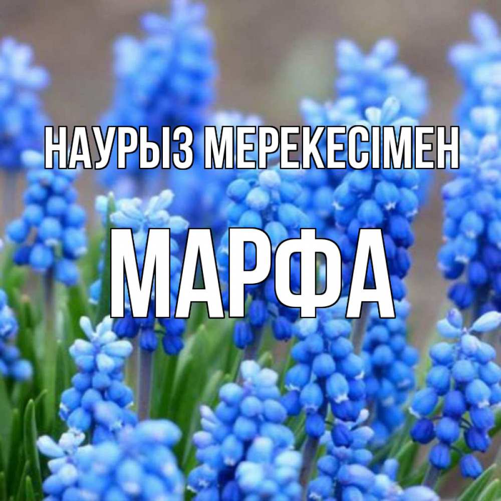 Күн сайын ашық хат с именем, Марфа Наурыз мерекесімен Поздравительная открытка для женщин с цветами на праздничную дату Онлайн тегін жүктеп алу тілектері бар керемет карта 