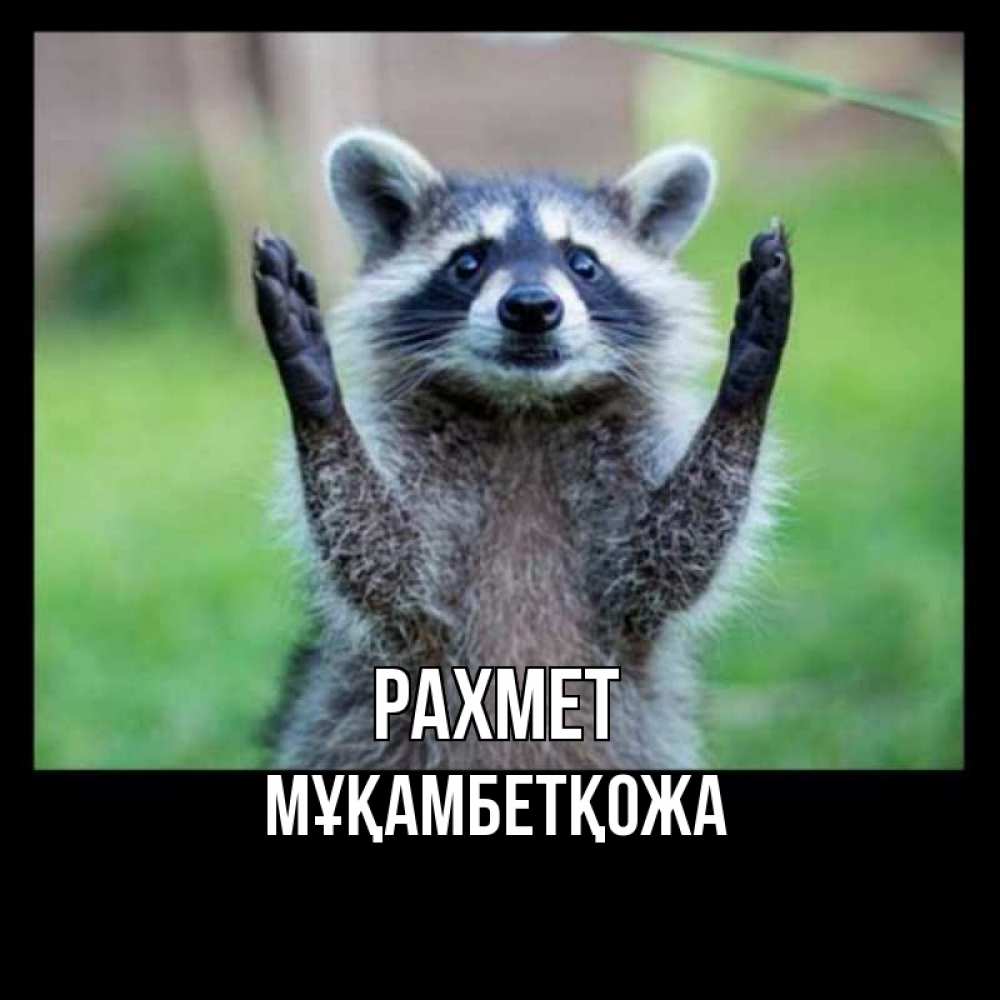 Күн сайын ашық хат с именем, Мұқамбетқожа рахмет милые животные Онлайн тегін жүктеп алу тілектері бар керемет карта 