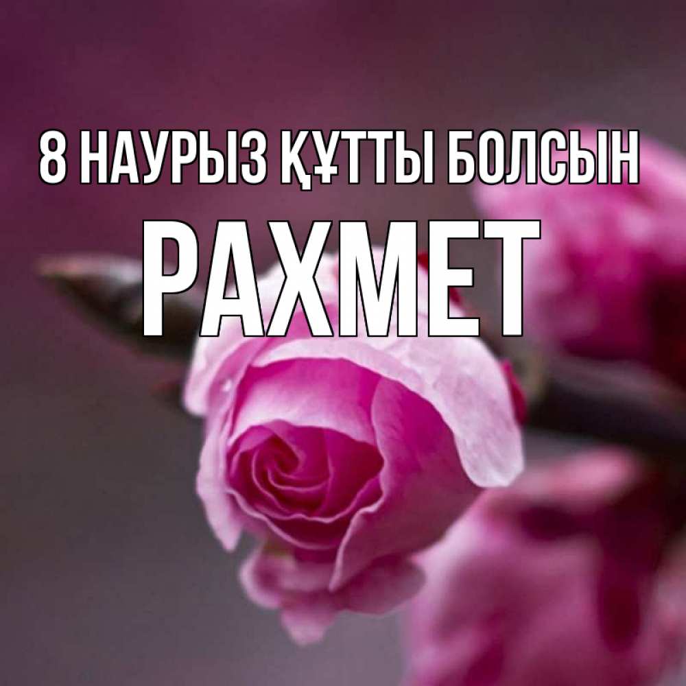 Күн сайын ашық хат с именем, РАХМЕТ 8 наурыз құтты болсын весна Онлайн тегін жүктеп алу тілектері бар керемет карта 