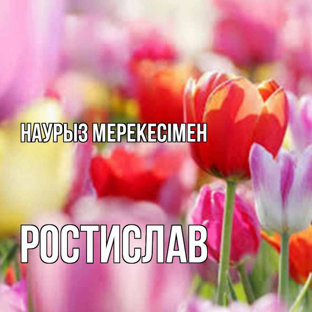 Күн сайын ашық хат с именем, Ростислав Наурыз мерекесімен праздник весны наурыз 67 Онлайн тегін жүктеп алу тілектері бар керемет карта 