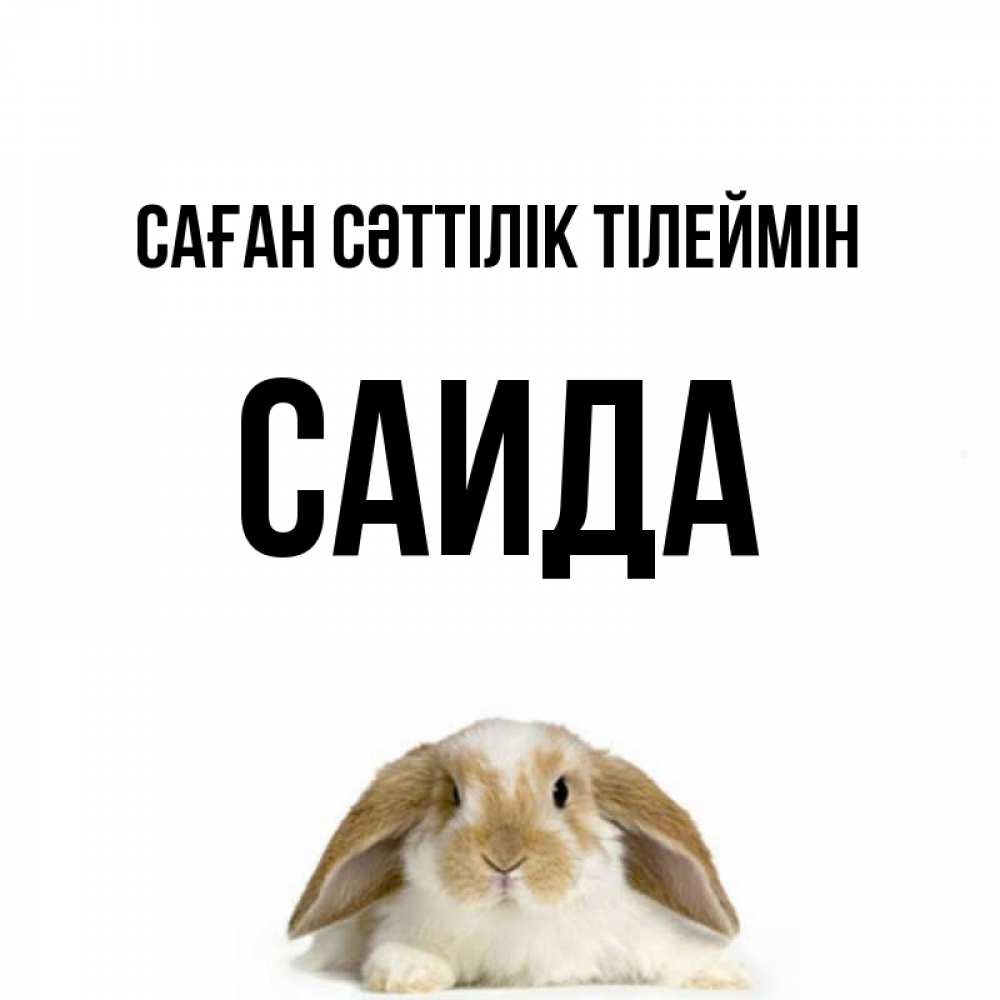 Күн сайын ашық хат с именем, Саида Саған сәттілік тілеймін открытки с произвольным текстом который можно вставить в открытку и создать ее самостоятельно бесплатно онлайн Онлайн тегін жүктеп алу тілектері бар керемет карта 