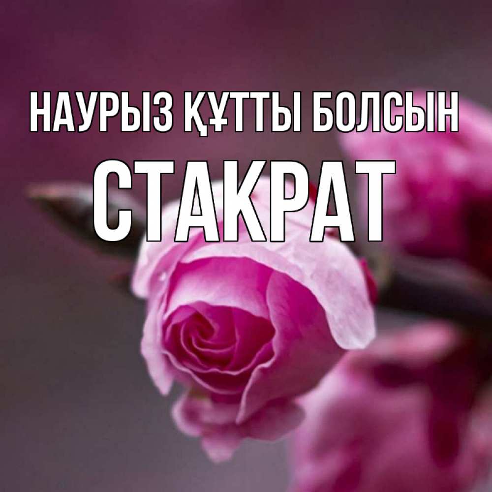 Күн сайын ашық хат с именем, Стакрат Наурыз құтты болсын весна Онлайн тегін жүктеп алу тілектері бар керемет карта 