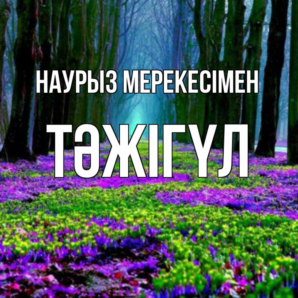 Күн сайын ашық хат с именем, ТӘЖІГҮЛ Наурыз мерекесімен фиолетовые цветы в лесу 1 Онлайн тегін жүктеп алу тілектері бар керемет карта 