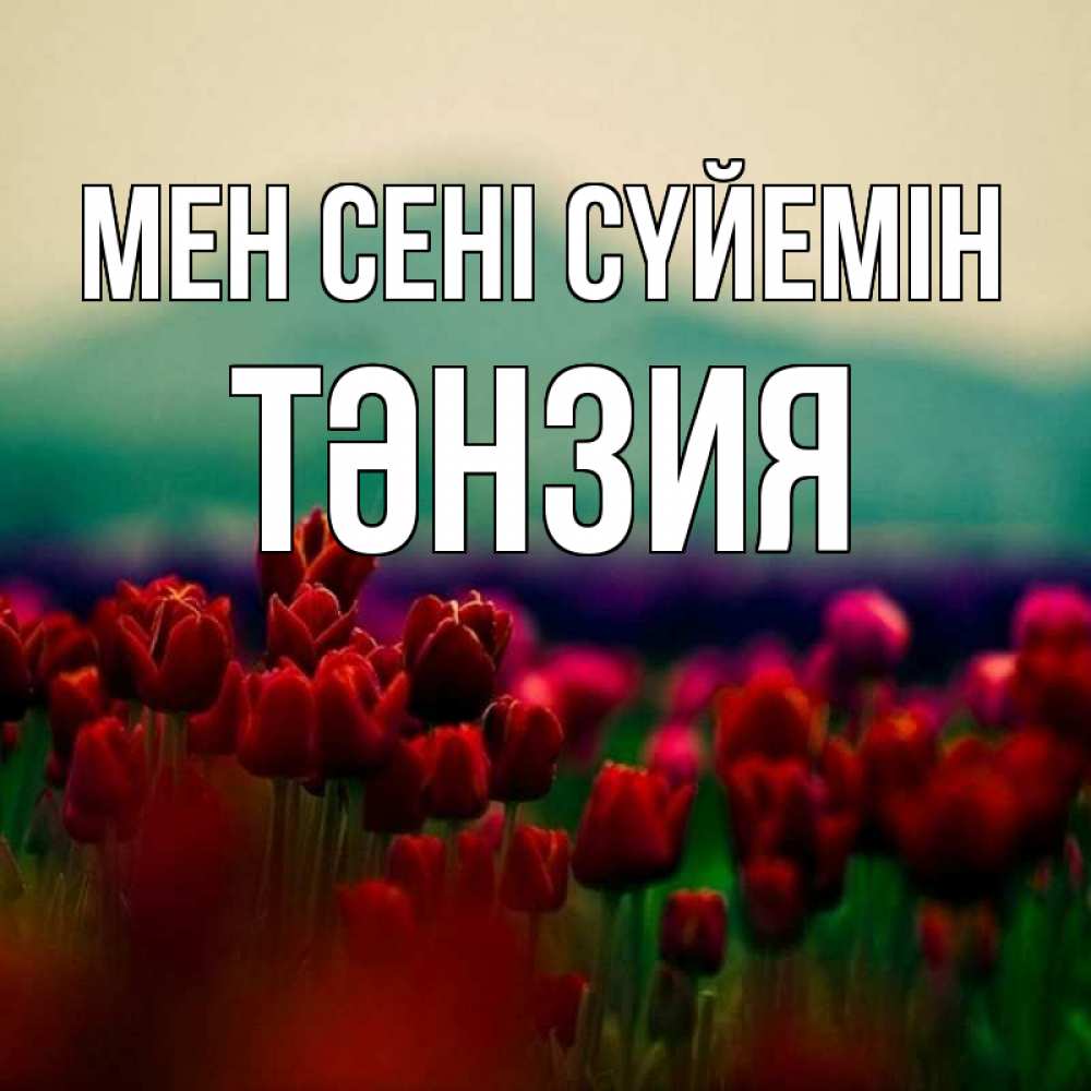 Күн сайын ашық хат с именем, ТӘНЗИЯ Мен сені сүйемін тюльпаны 4 Онлайн тегін жүктеп алу тілектері бар керемет карта 