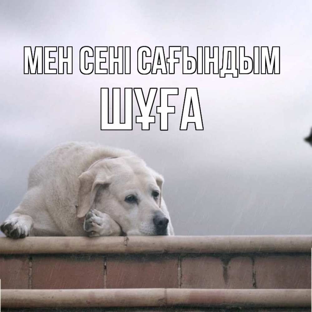 Күн сайын ашық хат с именем, ШҰҒА Мен сені сағындым ждет Онлайн тегін жүктеп алу тілектері бар керемет карта 
