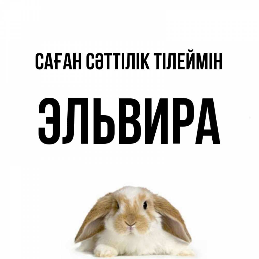 Күн сайын ашық хат с именем, Эльвира Саған сәттілік тілеймін открытки с произвольным текстом который можно вставить в открытку и создать ее самостоятельно бесплатно онлайн Онлайн тегін жүктеп алу тілектері бар керемет карта 
