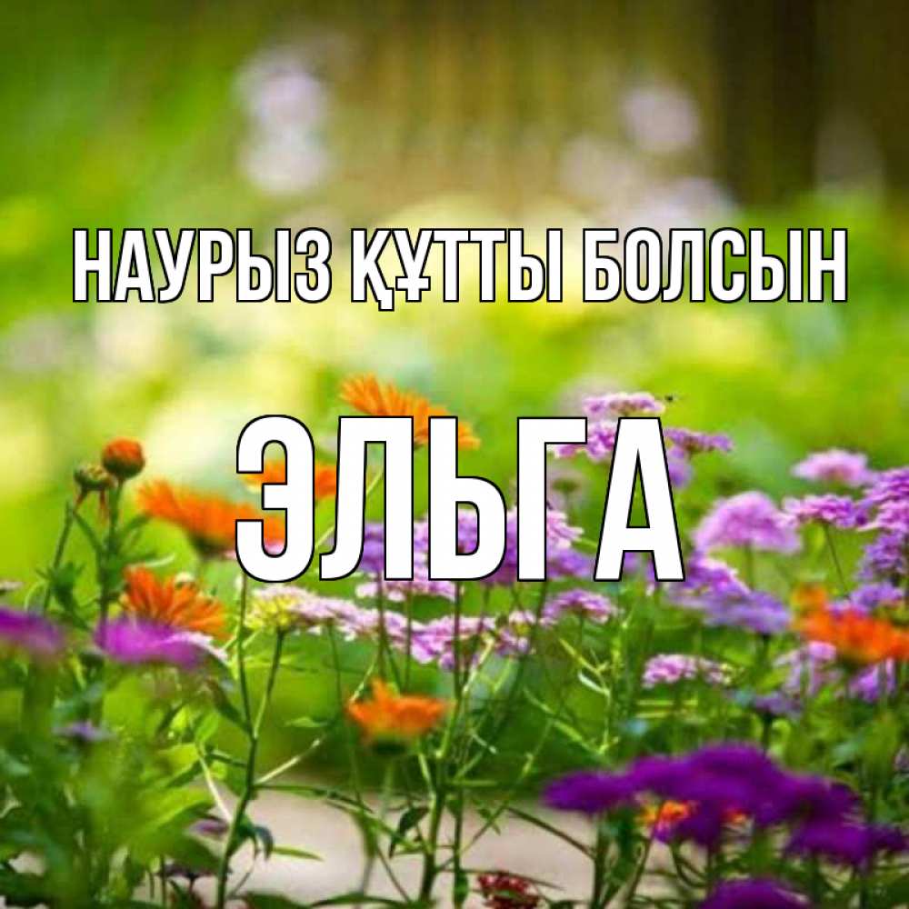 Күн сайын ашық хат с именем, Эльга Наурыз құтты болсын цветы Онлайн тегін жүктеп алу тілектері бар керемет карта 