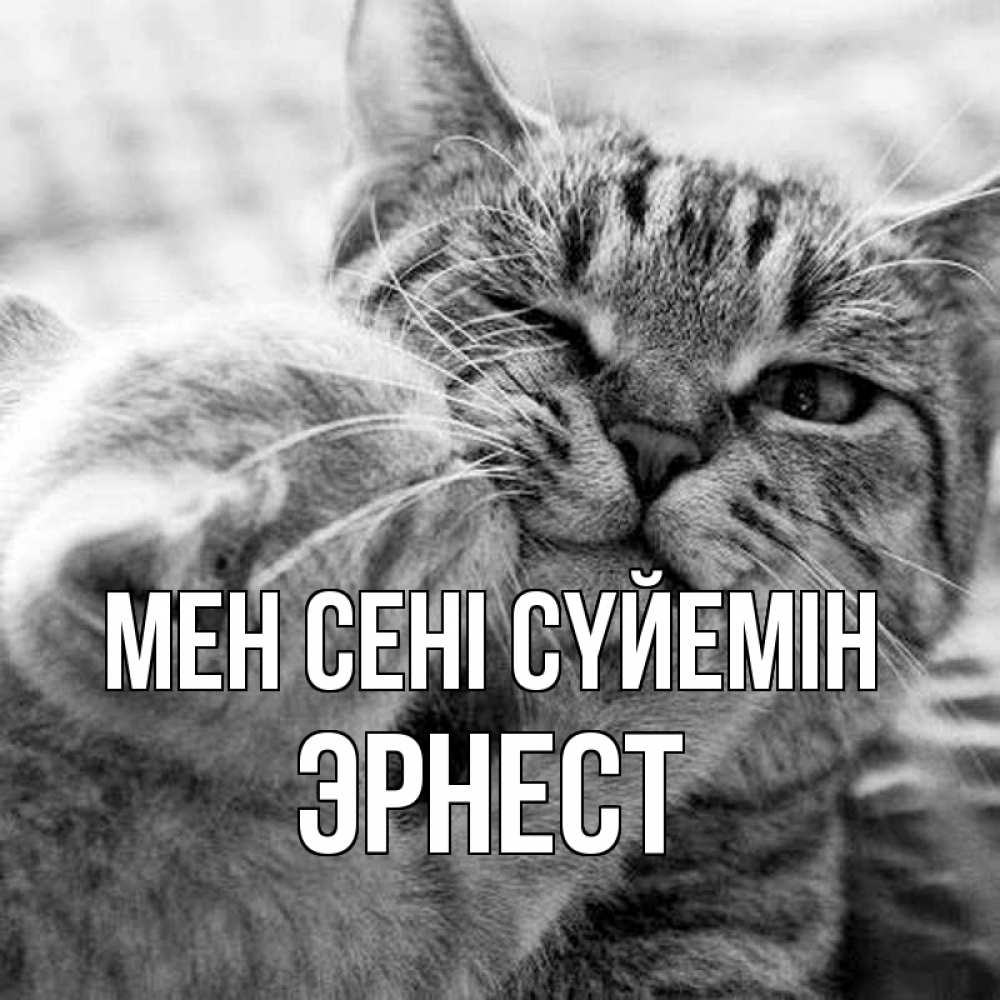Күн сайын ашық хат с именем, Эрнест Мен сені сүйемін коты Онлайн тегін жүктеп алу тілектері бар керемет карта 