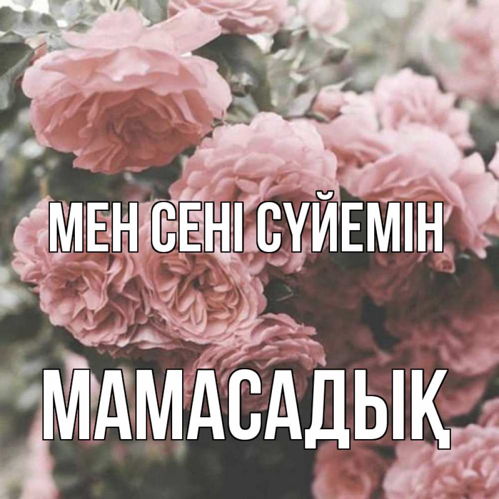 Күн сайын ашық хат с именем, МАМАСАДЫҚ Мен сені сүйемін розы 3 Онлайн тегін жүктеп алу тілектері бар керемет карта 