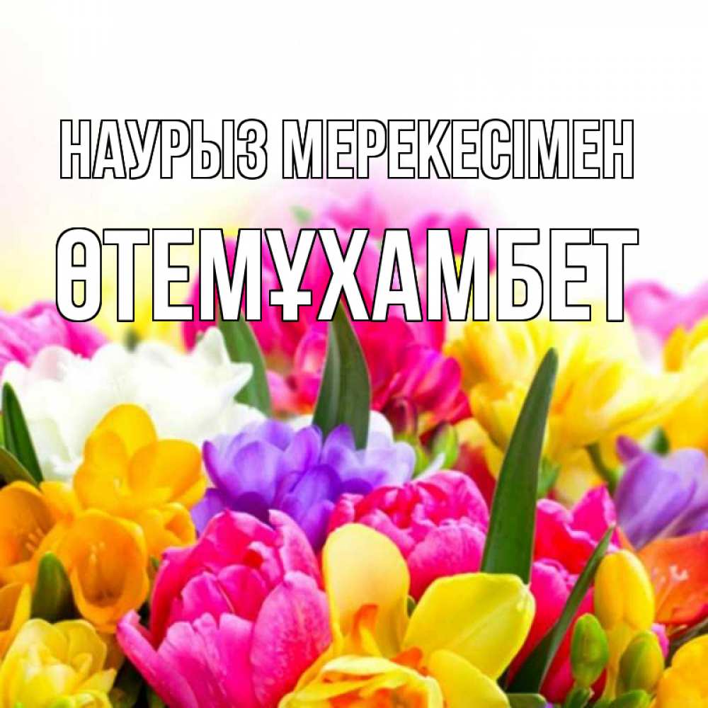 Күн сайын ашық хат с именем, ӨТЕМҰХАМБЕТ Наурыз мерекесімен тюльпаны Онлайн тегін жүктеп алу тілектері бар керемет карта 