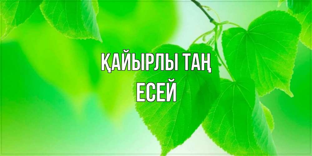 Күн сайын ашық хат с именем, Есей Қайырлы таң доброе утро с березовыми листьями Онлайн тегін жүктеп алу тілектері бар керемет карта 