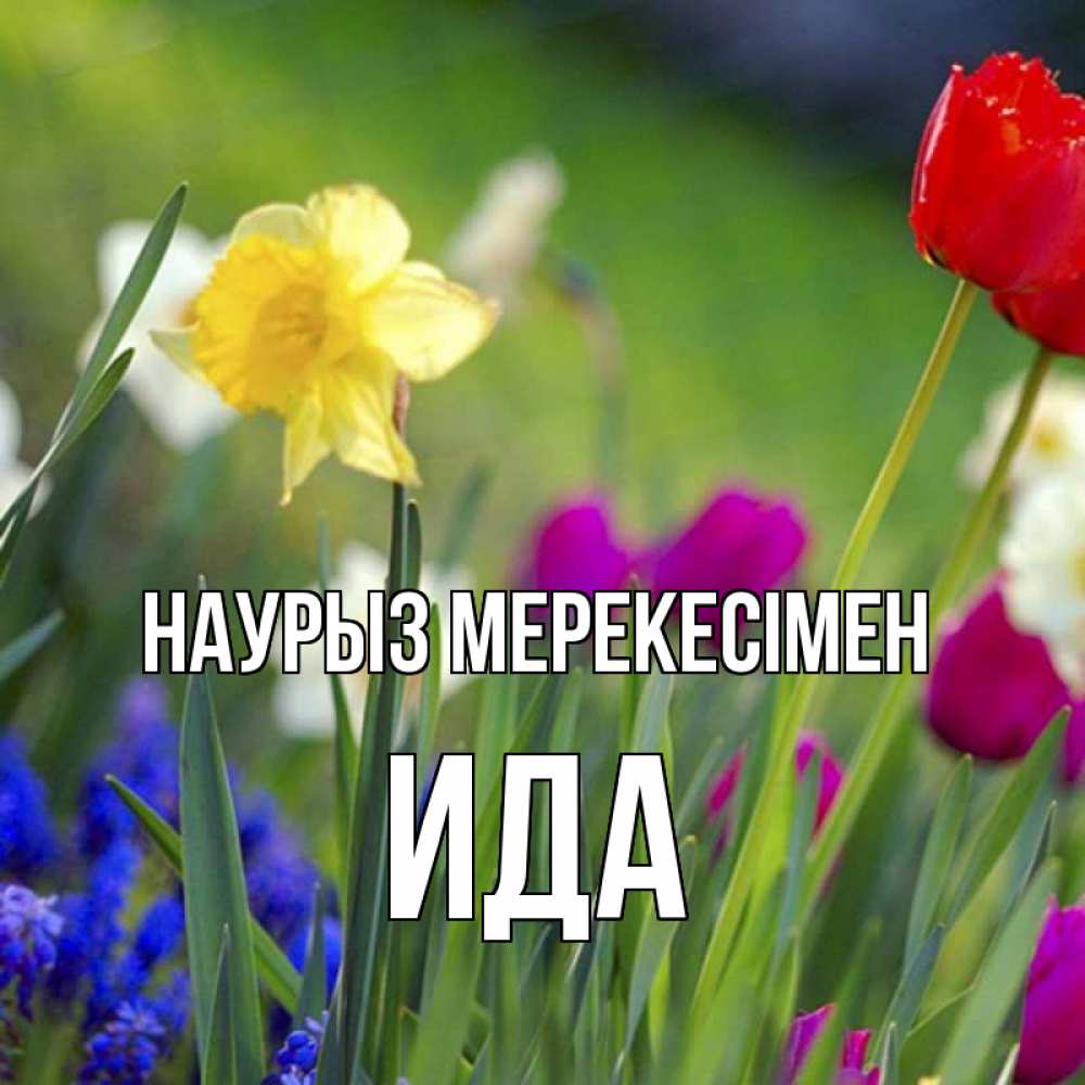 Күн сайын ашық хат с именем, Ида Наурыз мерекесімен праздник весны наурыз 3 Онлайн тегін жүктеп алу тілектері бар керемет карта 