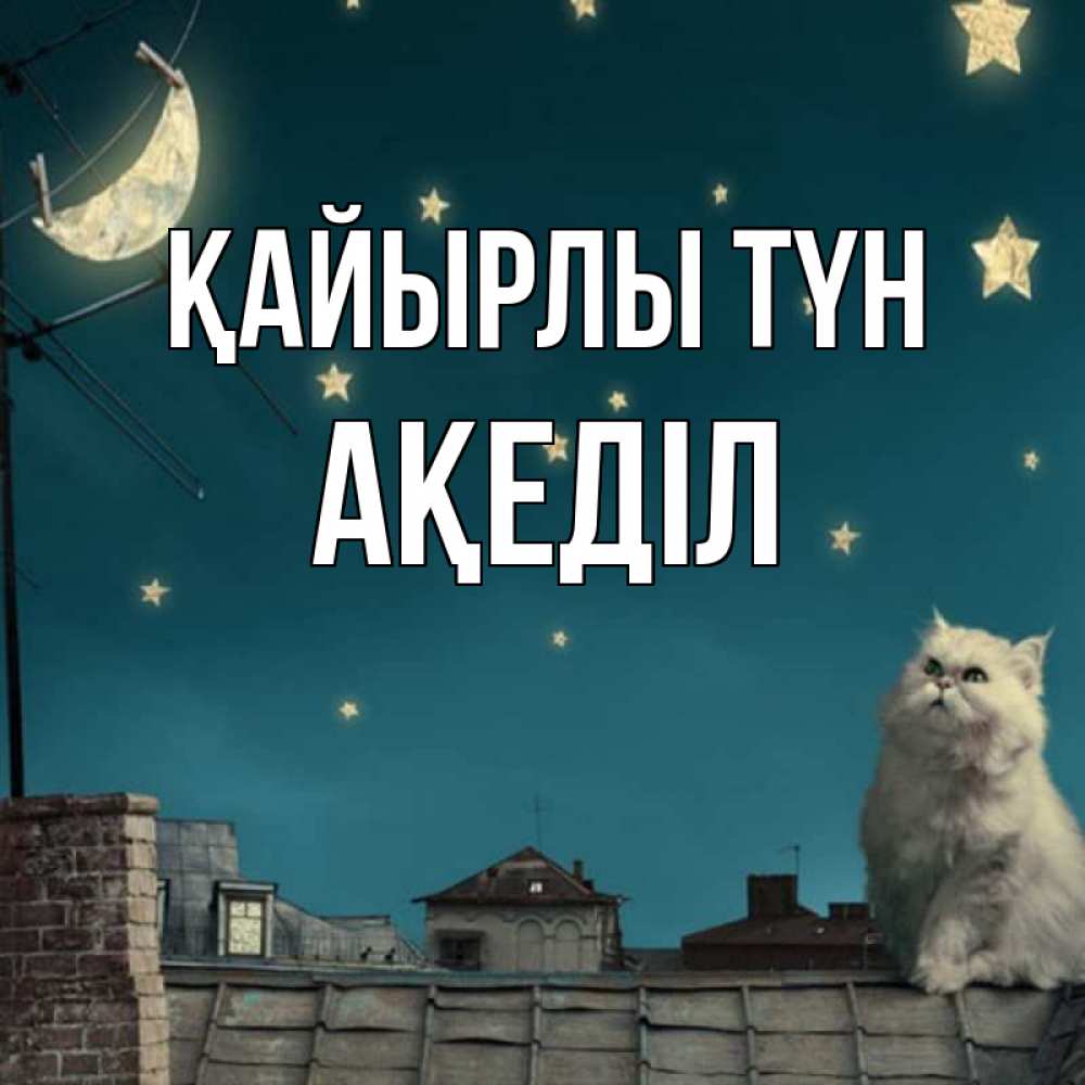 Күн сайын ашық хат с именем, Ақеділ Қайырлы түн белый кот сидит на крыше Онлайн тегін жүктеп алу тілектері бар керемет карта 