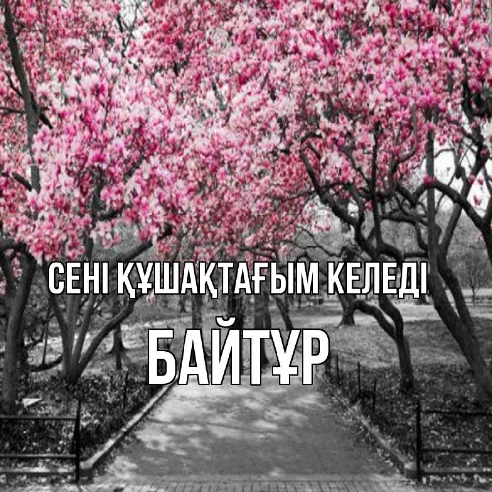 Күн сайын ашық хат с именем, Байтұр сені құшақтағым келеді обработанное фото Онлайн тегін жүктеп алу тілектері бар керемет карта 