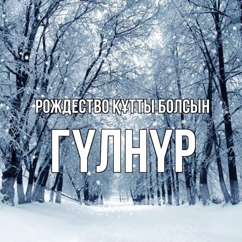 Күн сайын ашық хат с именем, ГҮЛНҮР Рождество құтты болсын снег, лес, парк Онлайн тегін жүктеп алу тілектері бар керемет карта 
