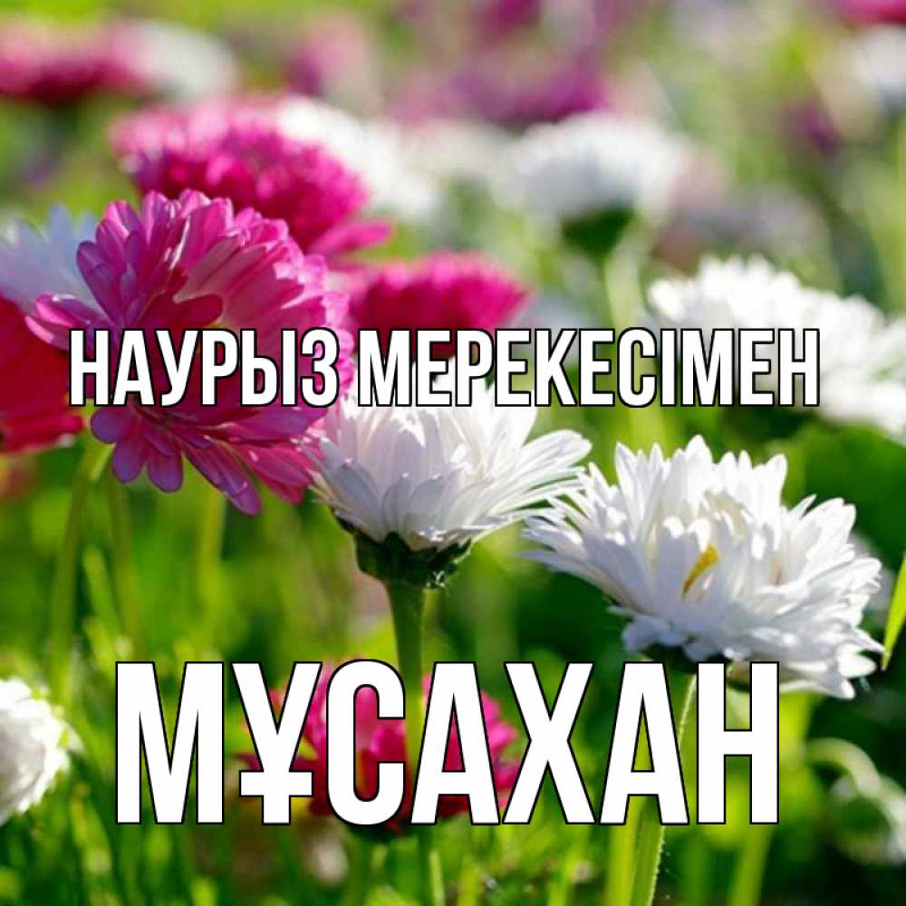 Күн сайын ашық хат с именем, Мұсахан Наурыз мерекесімен праздник весны наурыз красота Онлайн тегін жүктеп алу тілектері бар керемет карта 