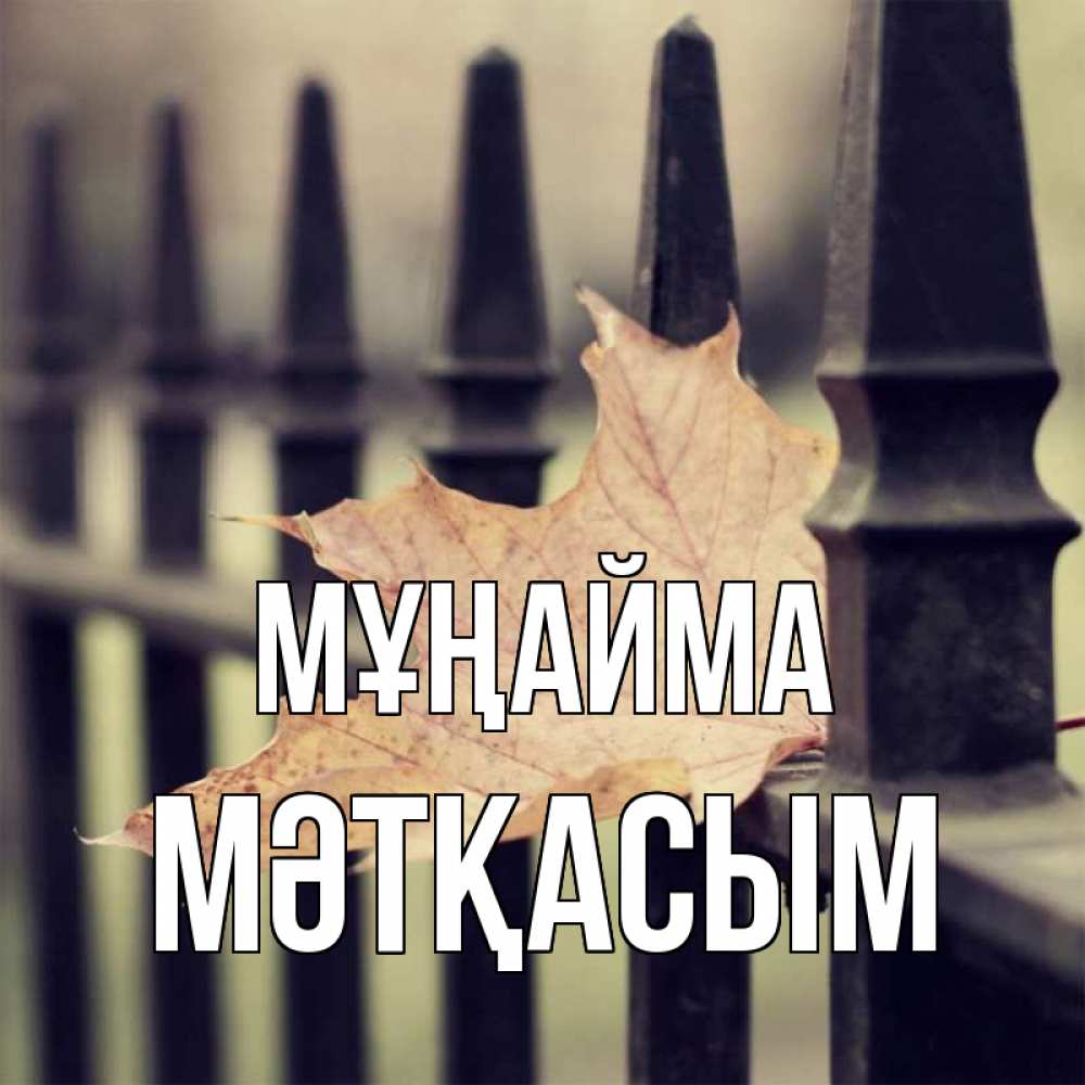 Күн сайын ашық хат с именем, МӘТҚАСЫМ Мұңайма лист клена Онлайн тегін жүктеп алу тілектері бар керемет карта 