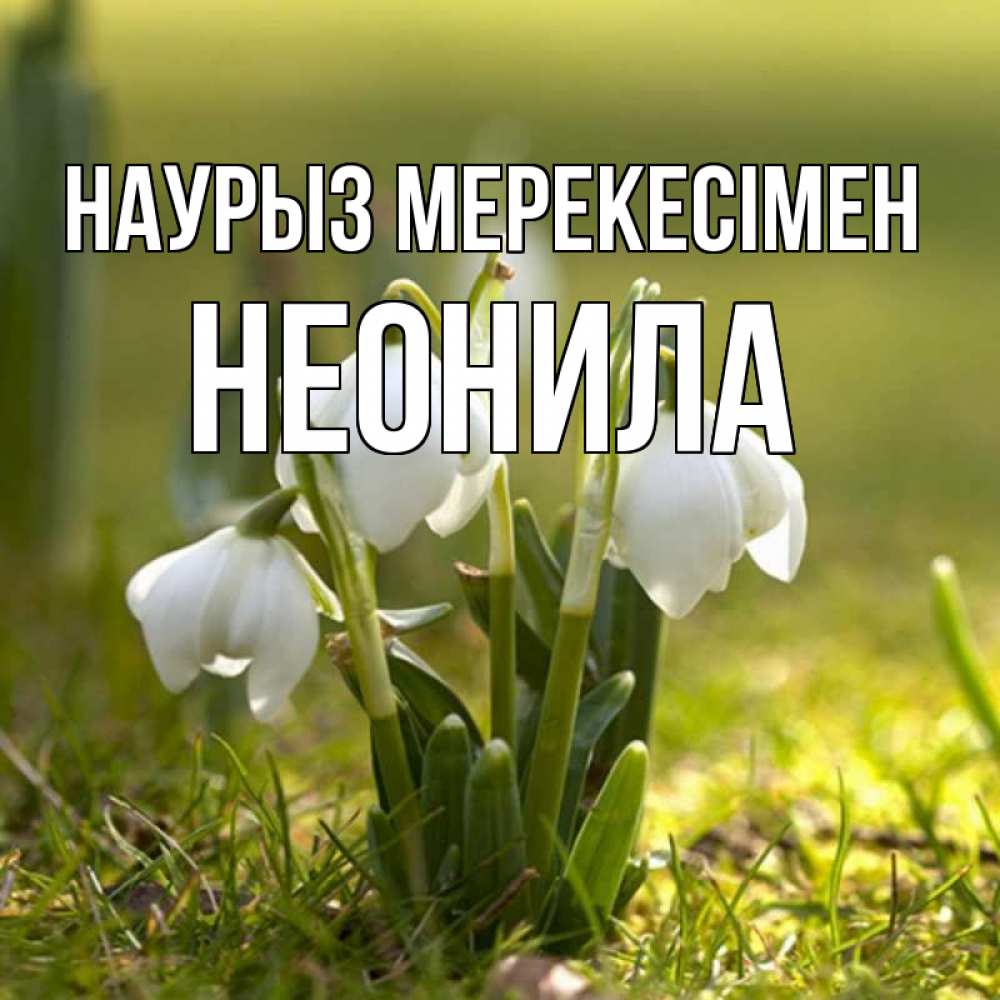 Күн сайын ашық хат с именем, Неонила Наурыз мерекесімен ранние цветы 2 Онлайн тегін жүктеп алу тілектері бар керемет карта 