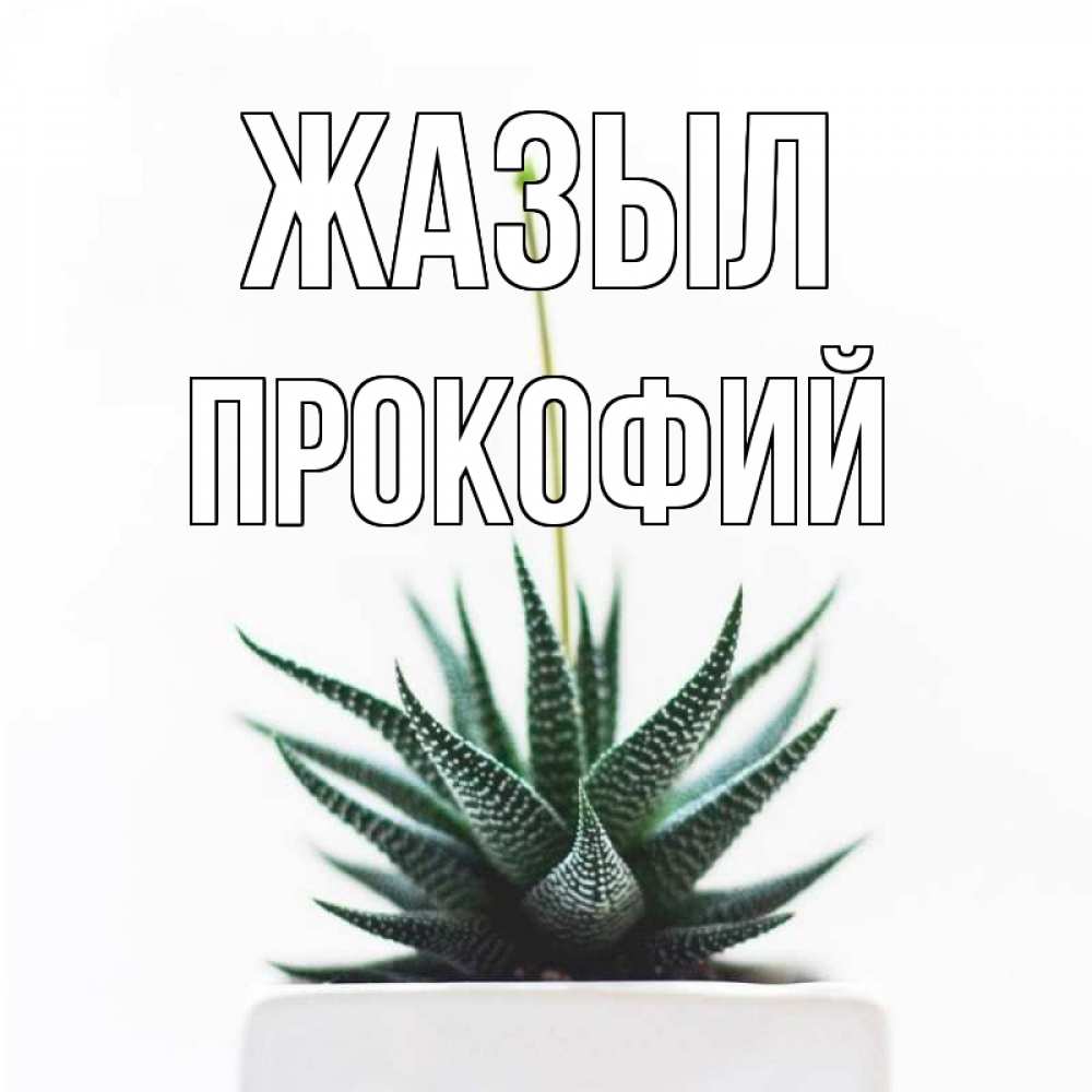 Күн сайын ашық хат с именем, Прокофий Жазыл короче это непонятная колючка Онлайн тегін жүктеп алу тілектері бар керемет карта 