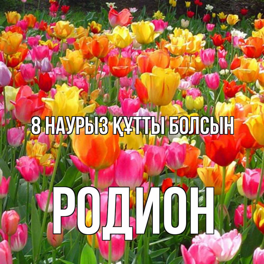 Күн сайын ашық хат с именем, Родион 8 наурыз құтты болсын на международный женский день Онлайн тегін жүктеп алу тілектері бар керемет карта 