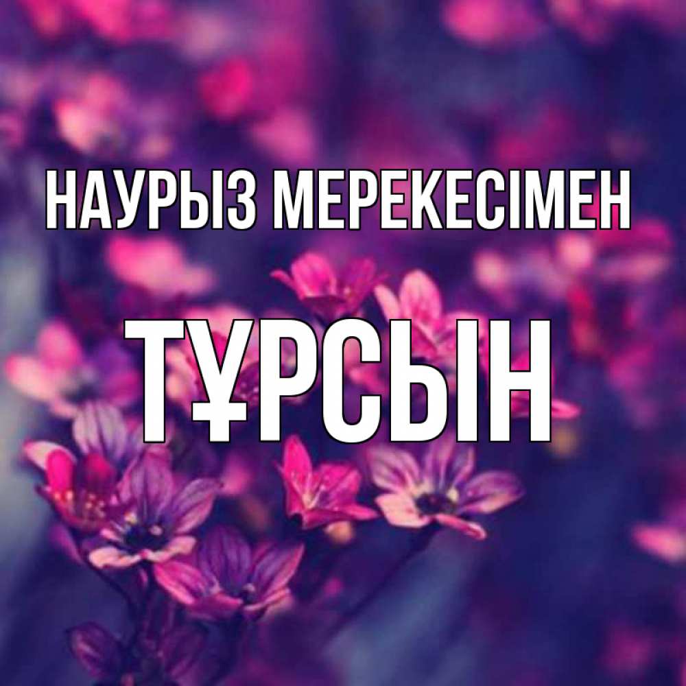 Күн сайын ашық хат с именем, ТҰРСЫН Наурыз мерекесімен небольшие цветы 1 Онлайн тегін жүктеп алу тілектері бар керемет карта 