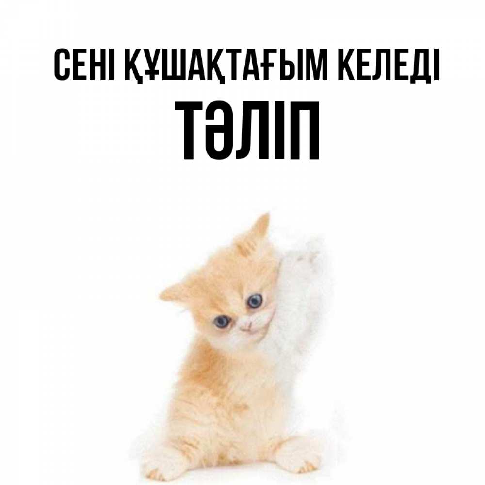 Күн сайын ашық хат с именем, ТӘЛІП сені құшақтағым келеді я хочу очень скорее обнимаешек Онлайн тегін жүктеп алу тілектері бар керемет карта 