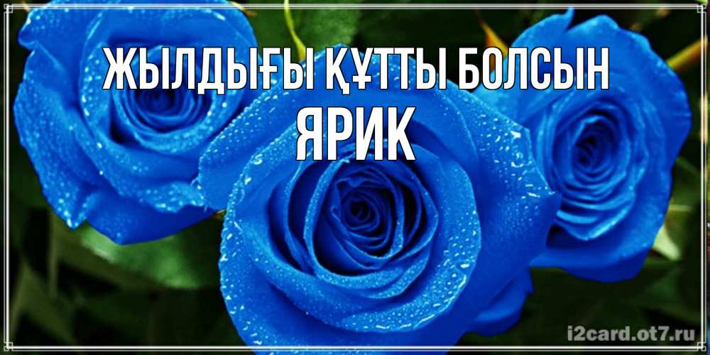 Күн сайын ашық хат с именем, Ярик Жылдығы құтты болсын розы с синим цветом Онлайн тегін жүктеп алу тілектері бар керемет карта 