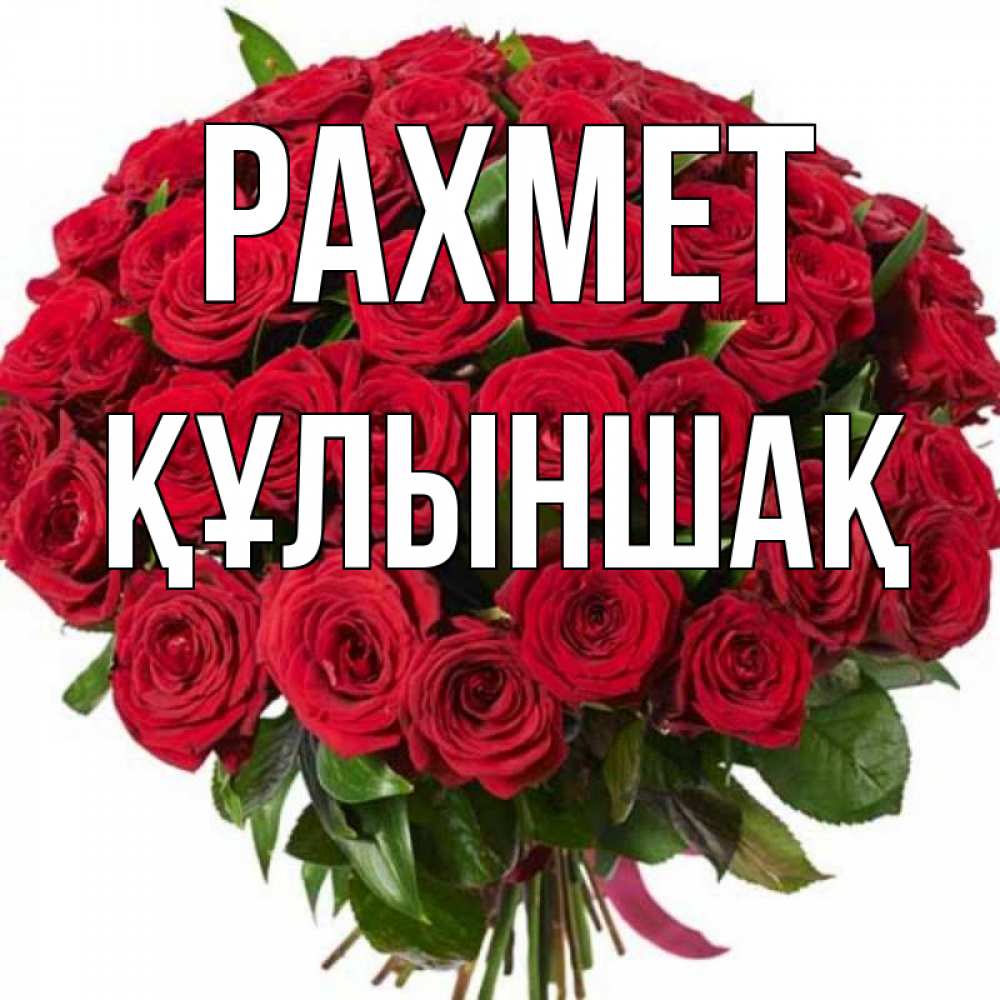 Күн сайын ашық хат с именем, ҚҰЛЫНШАҚ рахмет букет красных роз Онлайн тегін жүктеп алу тілектері бар керемет карта 