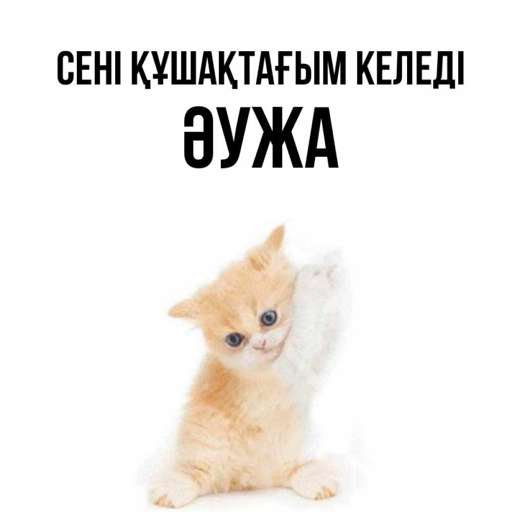 Күн сайын ашық хат с именем, ӘУЖА сені құшақтағым келеді я хочу очень скорее обнимаешек Онлайн тегін жүктеп алу тілектері бар керемет карта 