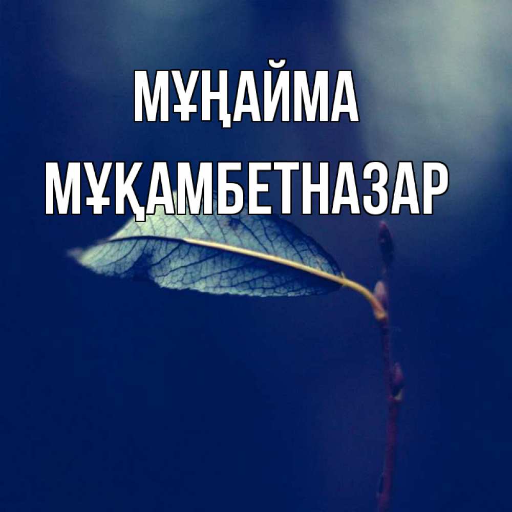 Күн сайын ашық хат с именем, Мұқамбетназар Мұңайма растение Онлайн тегін жүктеп алу тілектері бар керемет карта 