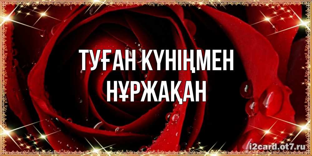 Күн сайын ашық хат с именем, НҰРЖАҚАН Туған күніңмен цветок в росе на день рождения Онлайн тегін жүктеп алу тілектері бар керемет карта 