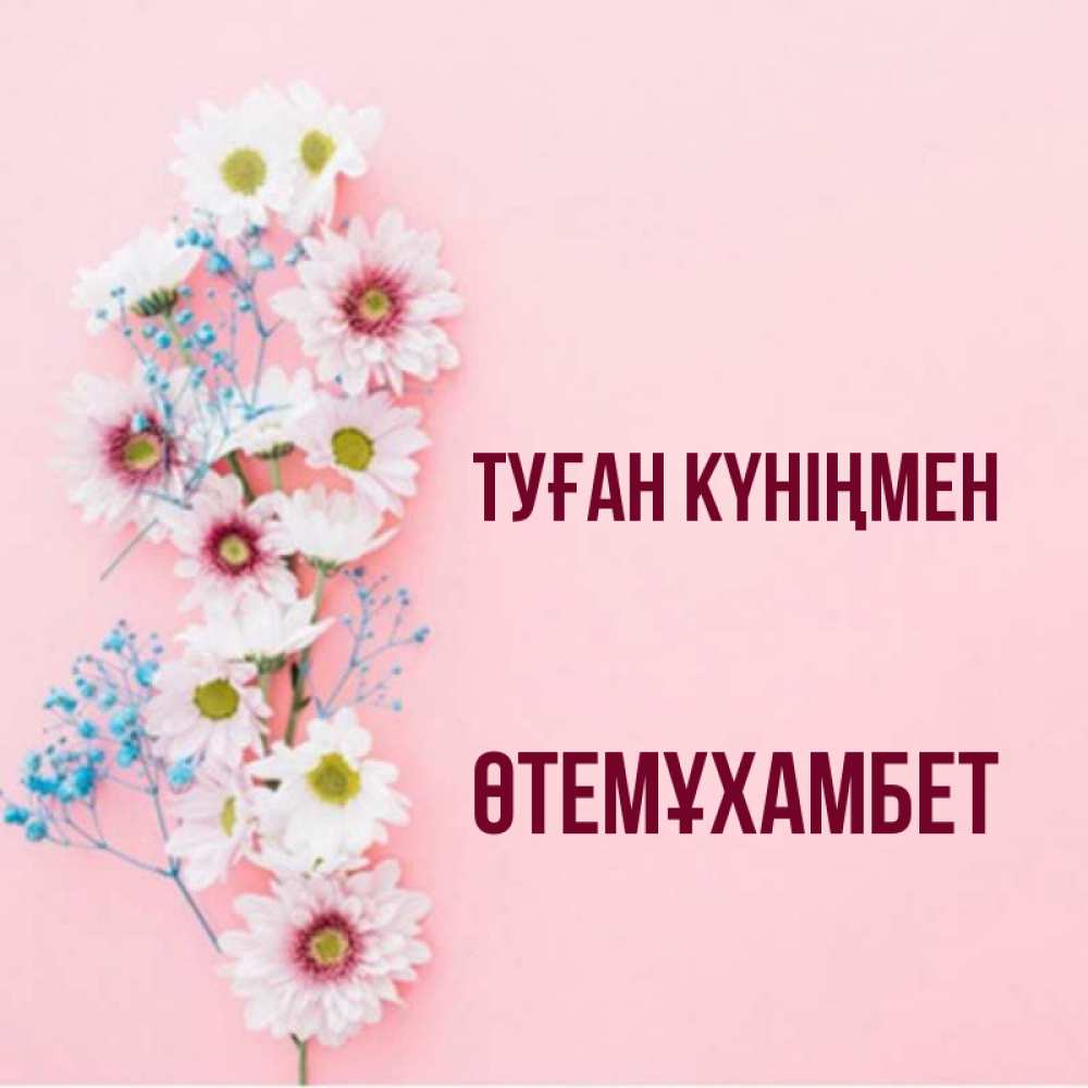 Күн сайын ашық хат с именем, ӨТЕМҰХАМБЕТ Туған күніңмен Родная моя с днем рождения тебя картинка с цветами белыми и голубыми Онлайн тегін жүктеп алу тілектері бар керемет карта 