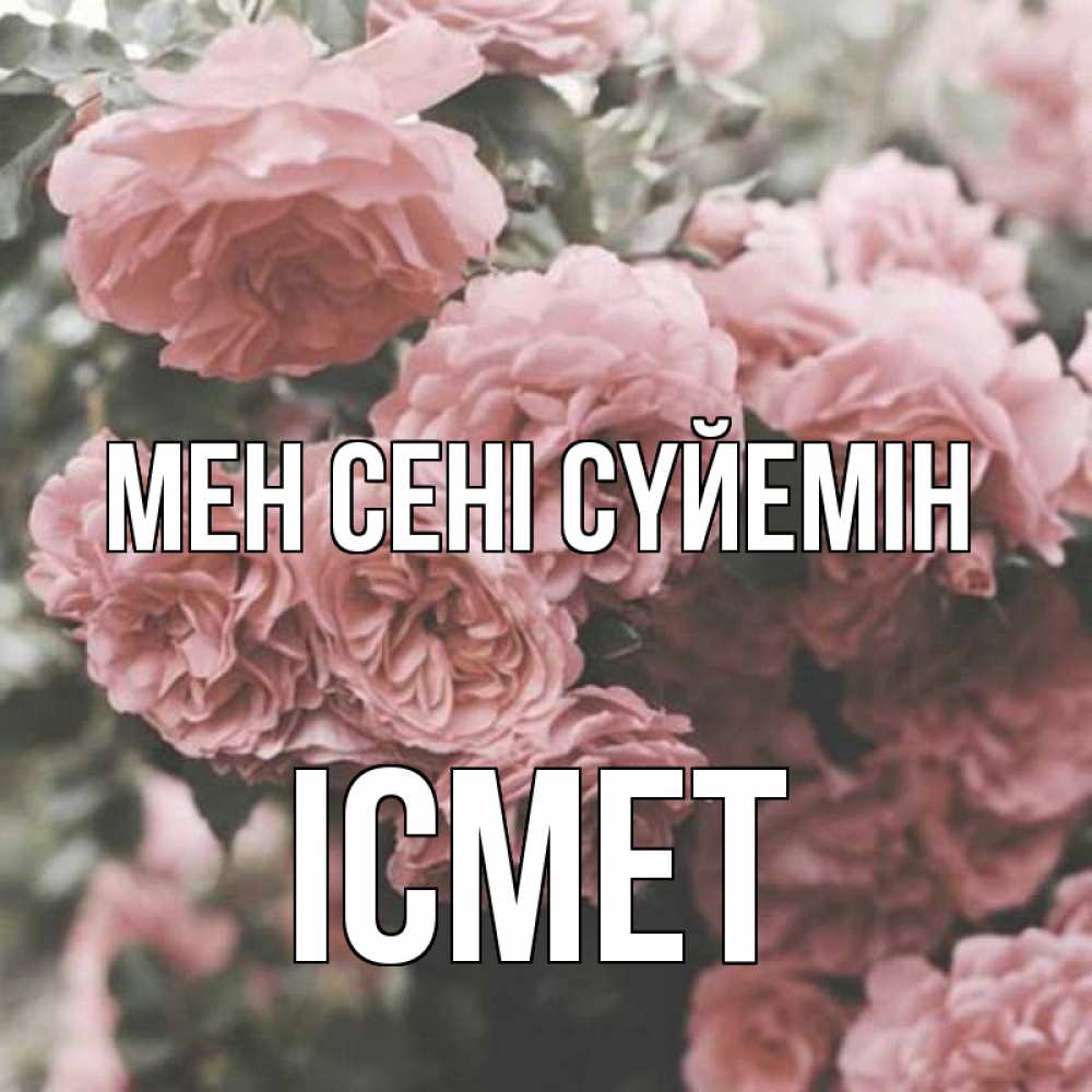 Күн сайын ашық хат с именем, ІСМЕТ Мен сені сүйемін розы 3 Онлайн тегін жүктеп алу тілектері бар керемет карта 