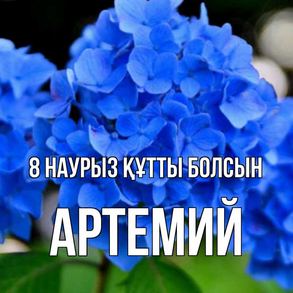 Күн сайын ашық хат с именем, Артемий 8 наурыз құтты болсын синие цветы Онлайн тегін жүктеп алу тілектері бар керемет карта 