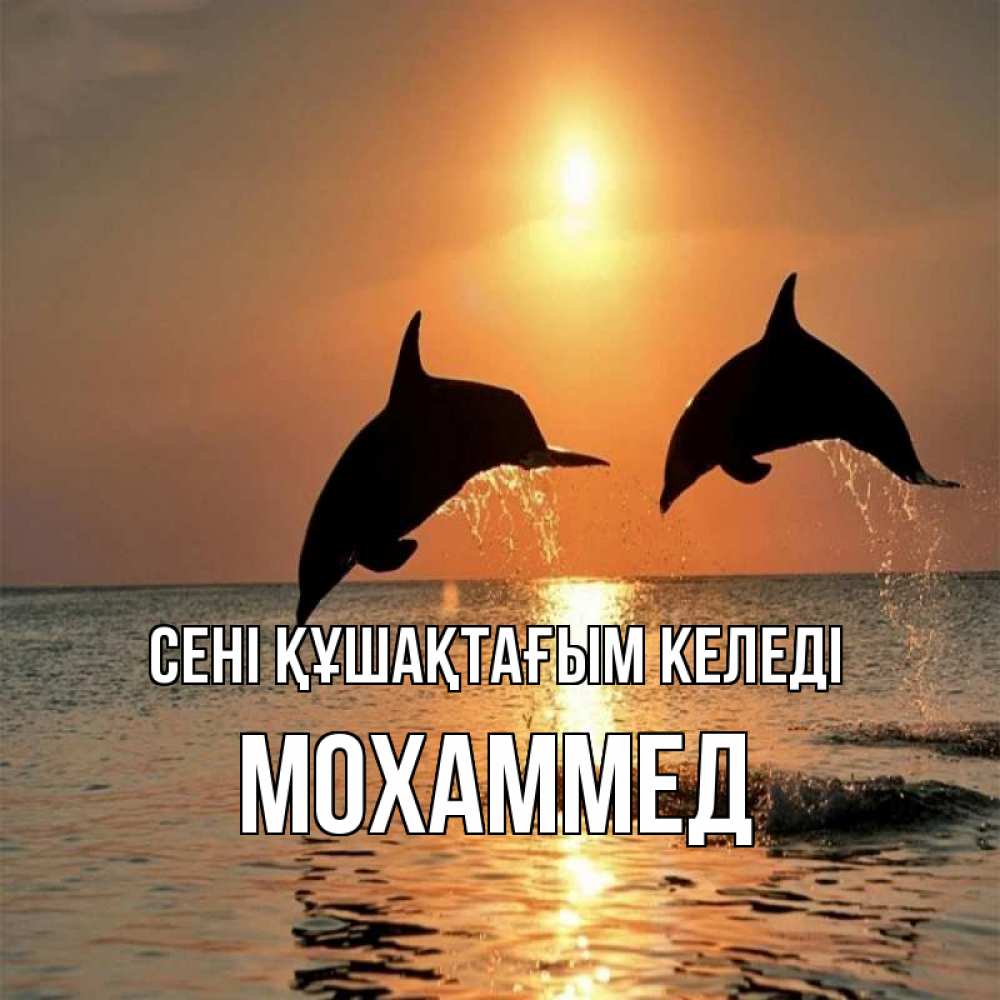 Күн сайын ашық хат с именем, Мохаммед сені құшақтағым келеді рыбы на закате Онлайн тегін жүктеп алу тілектері бар керемет карта 