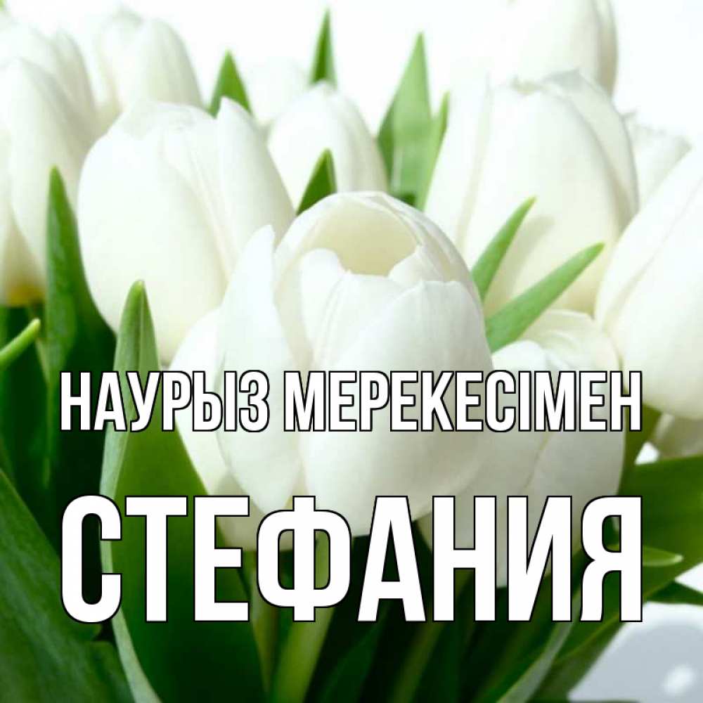 Күн сайын ашық хат с именем, Стефания Наурыз мерекесімен цветы Онлайн тегін жүктеп алу тілектері бар керемет карта 