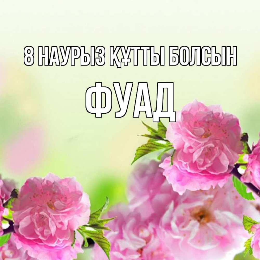 Күн сайын ашық хат с именем, Фуад 8 наурыз құтты болсын цветы Онлайн тегін жүктеп алу тілектері бар керемет карта 